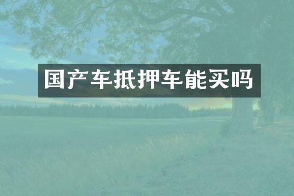 国产车抵押车能买吗