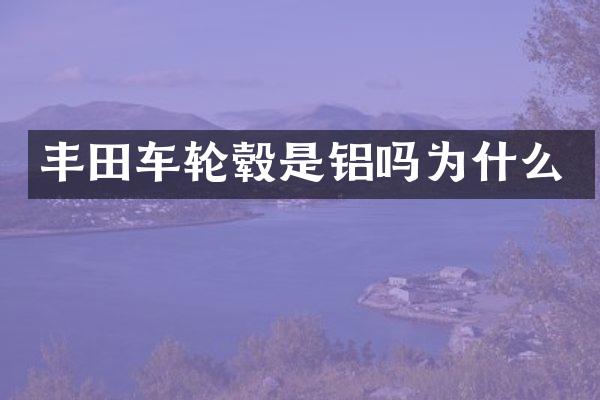 丰田车轮毂是铝吗为什么