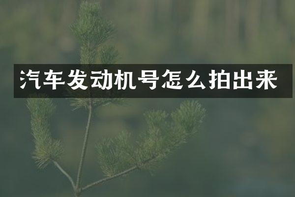 汽车发动机号怎么拍出来