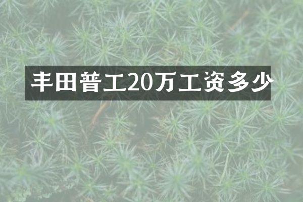 丰田普工20万工资多少