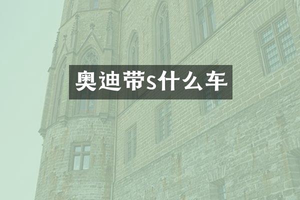 奥迪带s什么车