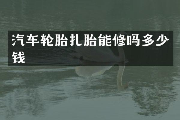 汽车轮胎扎胎能修吗多少钱