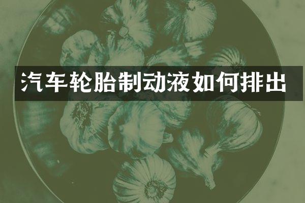 汽车轮胎制动液如何排出