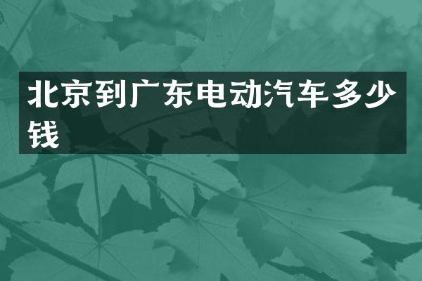 北京到广东电动汽车多少钱