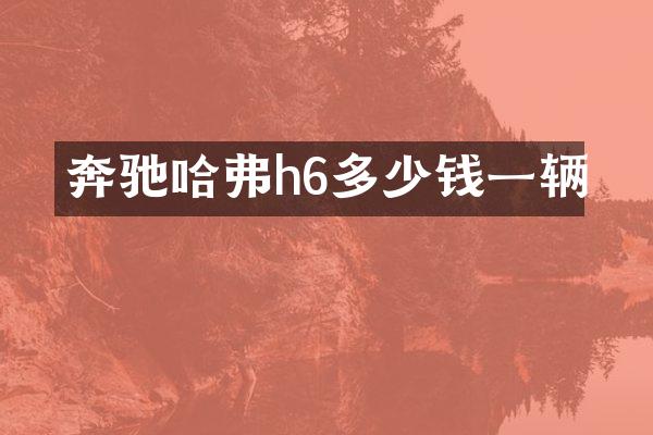 奔驰哈弗h6多少钱一辆