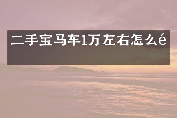 二手宝马车1万左右怎么选