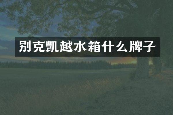 别克凯越水箱什么牌子