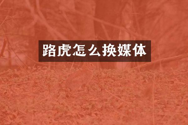 路虎怎么换媒体