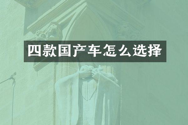 四款国产车怎么选择