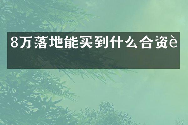 8万落地能买到什么合资车