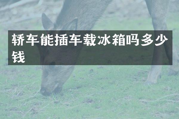 轿车能插车载冰箱吗多少钱