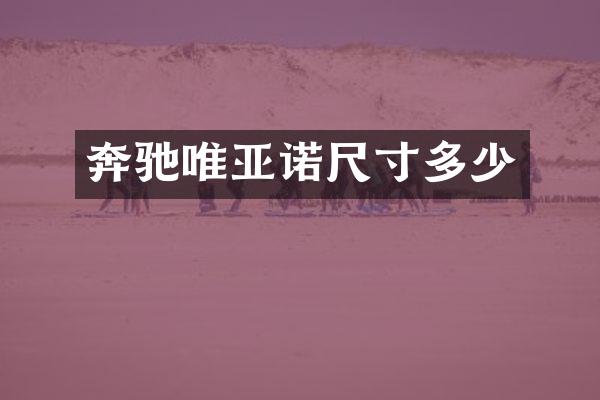 奔驰唯亚诺尺寸多少