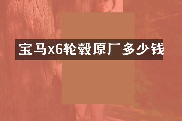 宝马x6轮毂原厂多少钱