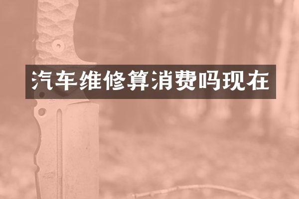 汽车维修算消费吗现在