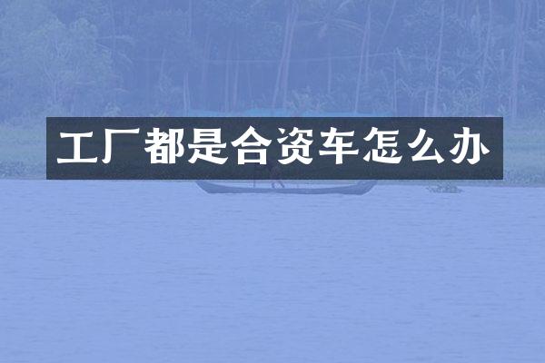工厂都是合资车怎么办