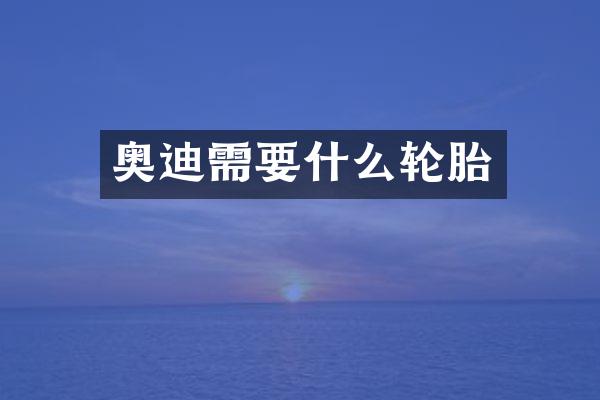 奥迪需要什么轮胎