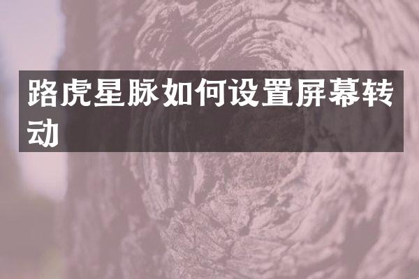 路虎星脉如何设置屏幕转动