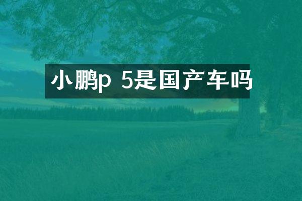 小鹏p 5是国产车吗