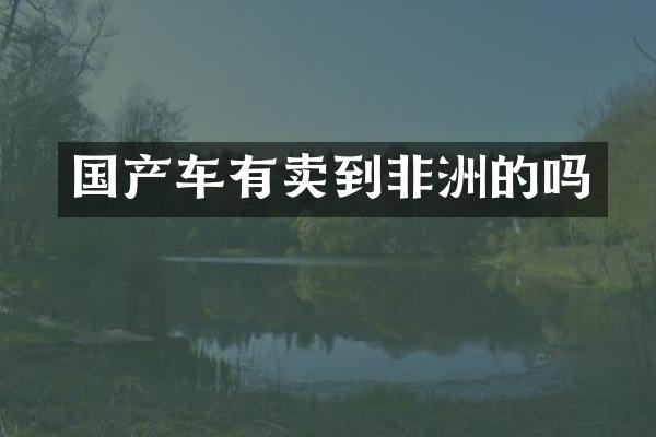 国产车有卖到非洲的吗