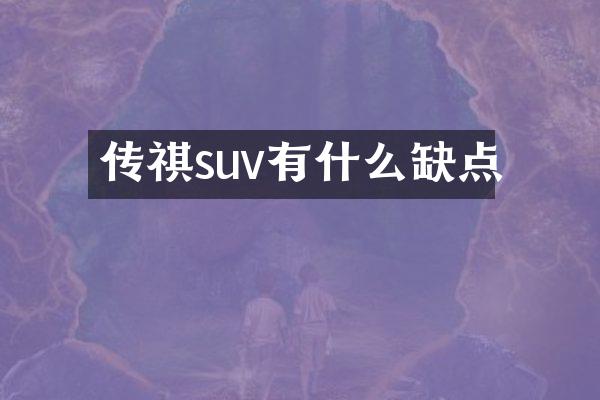 传祺suv有什么缺点