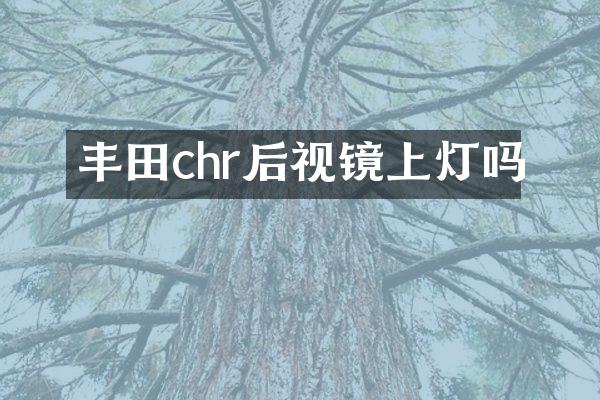 丰田chr后视镜上灯吗