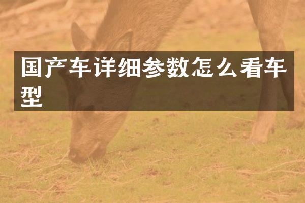 国产车详细参数怎么看车型