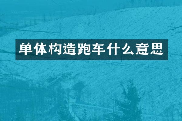 单体构造跑车什么意思