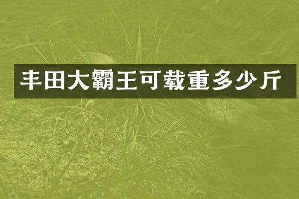 丰田大霸王可载重多少斤