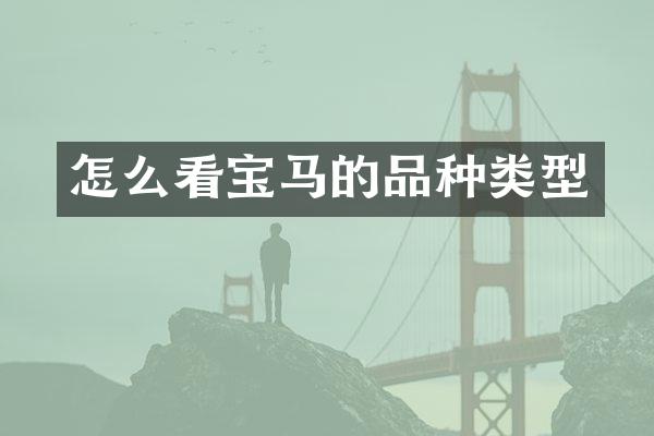 怎么看宝马的品种类型