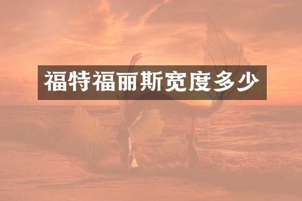 福特福丽斯宽度多少