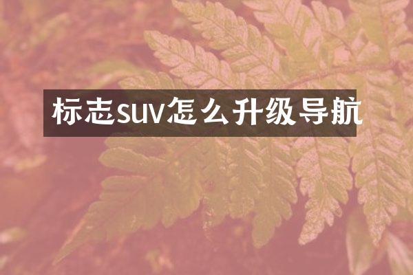 标志suv怎么升级导航