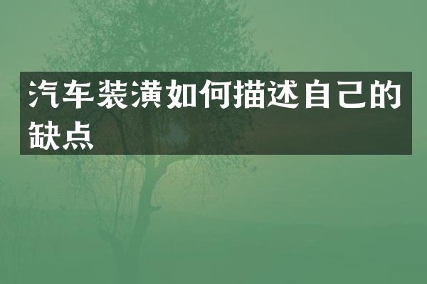 汽车装潢如何描述自己的缺点