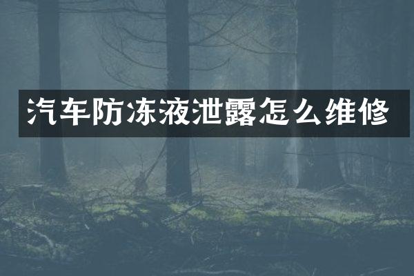 汽车防冻液泄露怎么维修