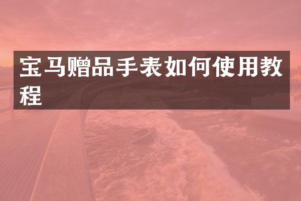 宝马赠品手表如何使用教程