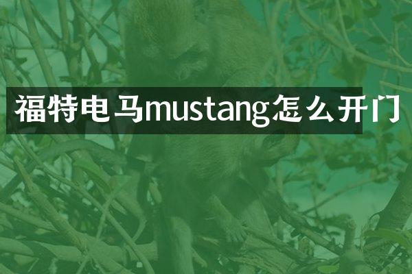 福特电马mustang怎么开门