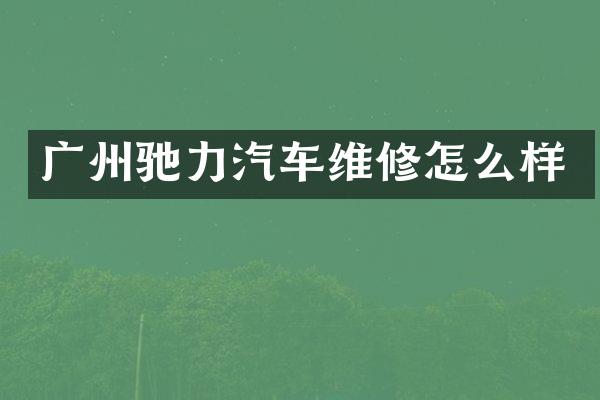 广州驰力汽车维修怎么样