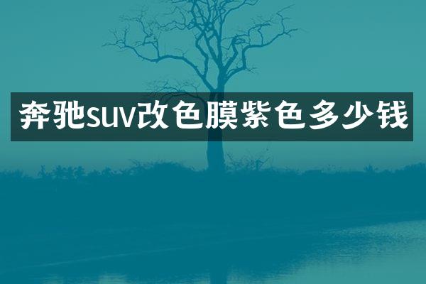奔驰suv改色膜紫色多少钱