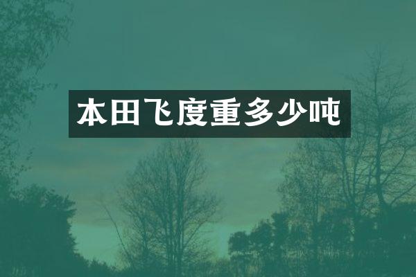 本田飞度重多少吨