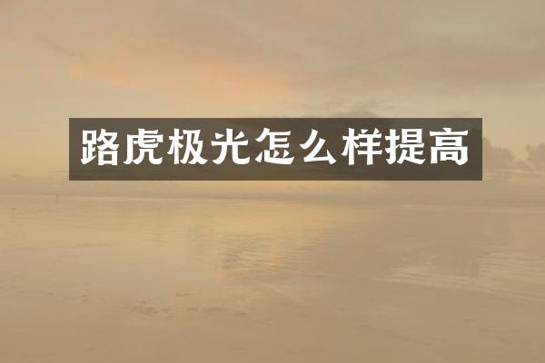 路虎极光怎么样提高