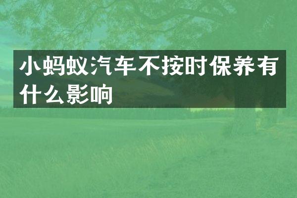 小蚂蚁汽车不按时保养有什么影响