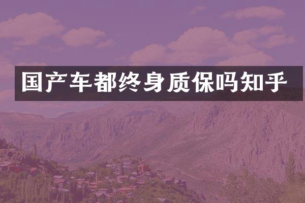 国产车都终身质保吗知乎