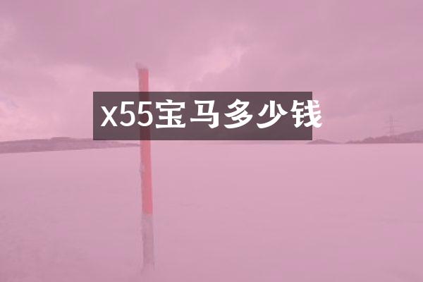 x55宝马多少钱