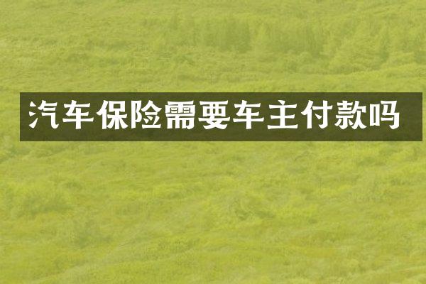 汽车保险需要车主付款吗