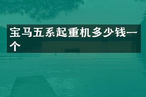 宝马五系起重机多少钱一个