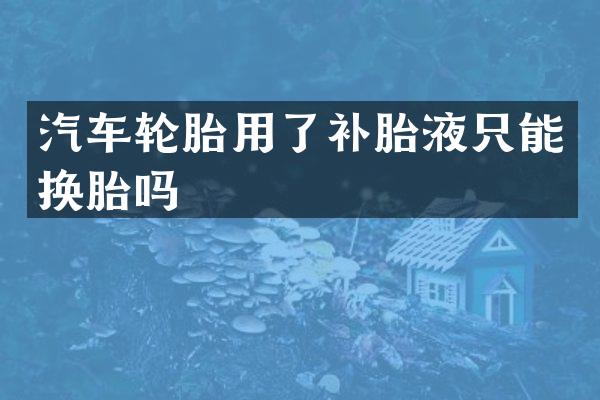 汽车轮胎用了补胎液只能换胎吗