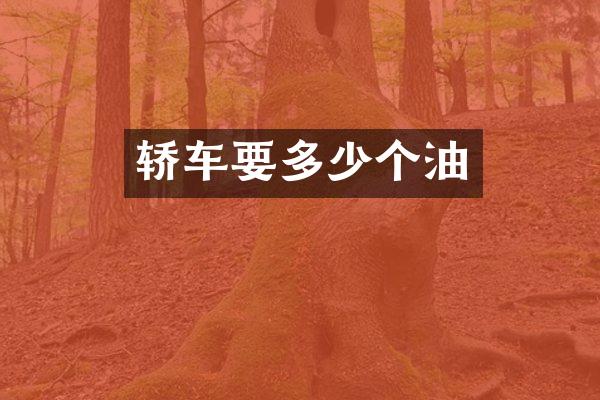 轿车要多少个油