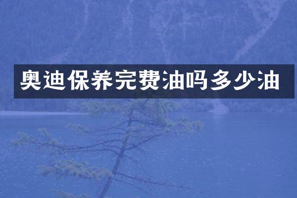 奥迪保养完费油吗多少油