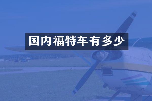 国内福特车有多少