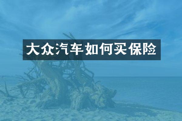 大众汽车如何买保险