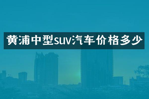 黄浦中型suv汽车价格多少